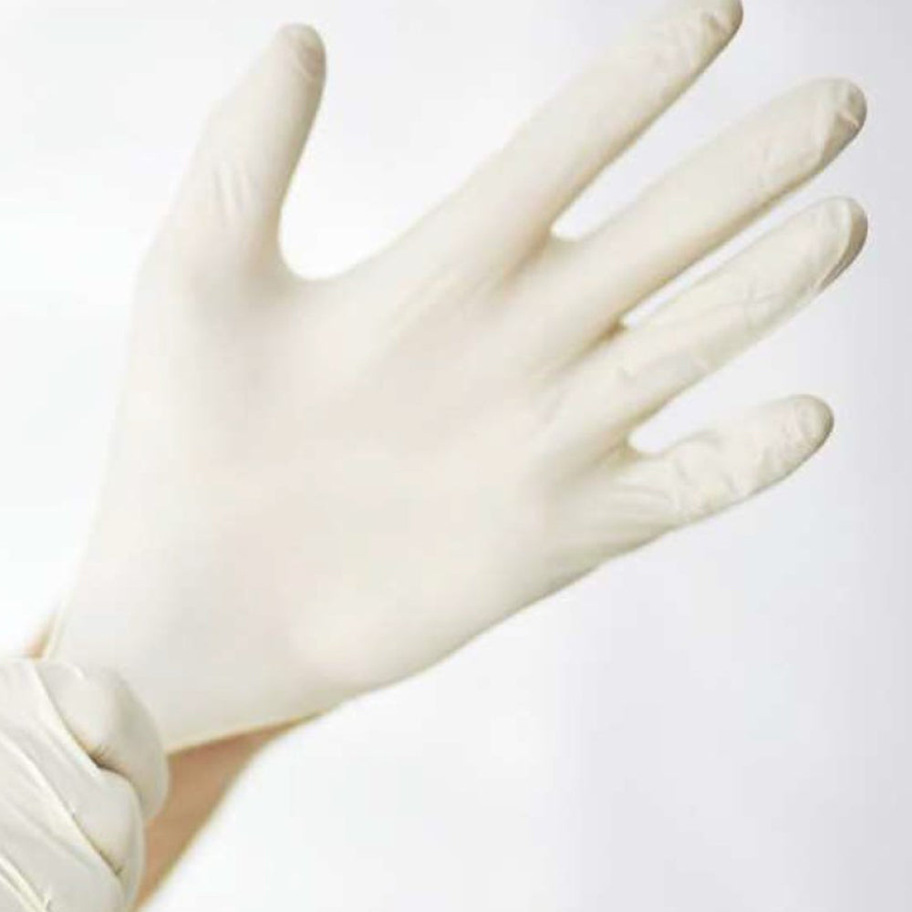 Apollo Latex Gloves Powder Free
